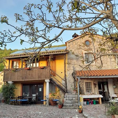Hostel Xaxid Črni Kal Buitenkant foto