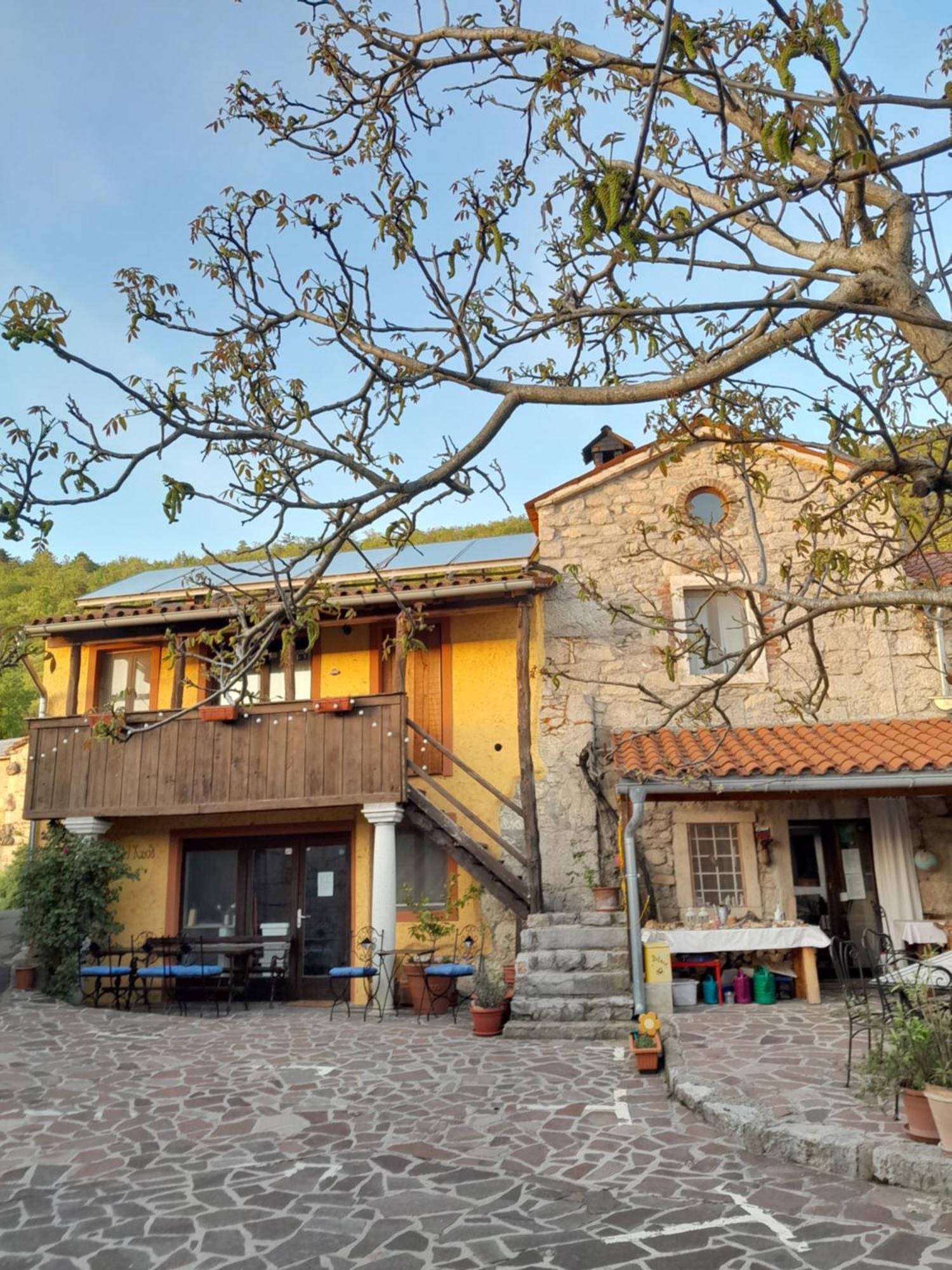 Hostel Xaxid Črni Kal Buitenkant foto