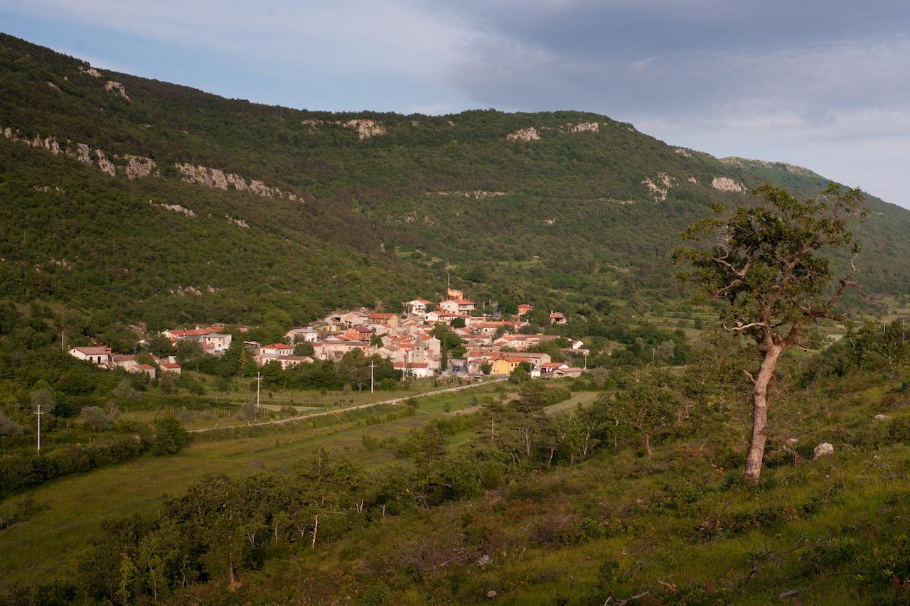 Hostel Xaxid Črni Kal Buitenkant foto