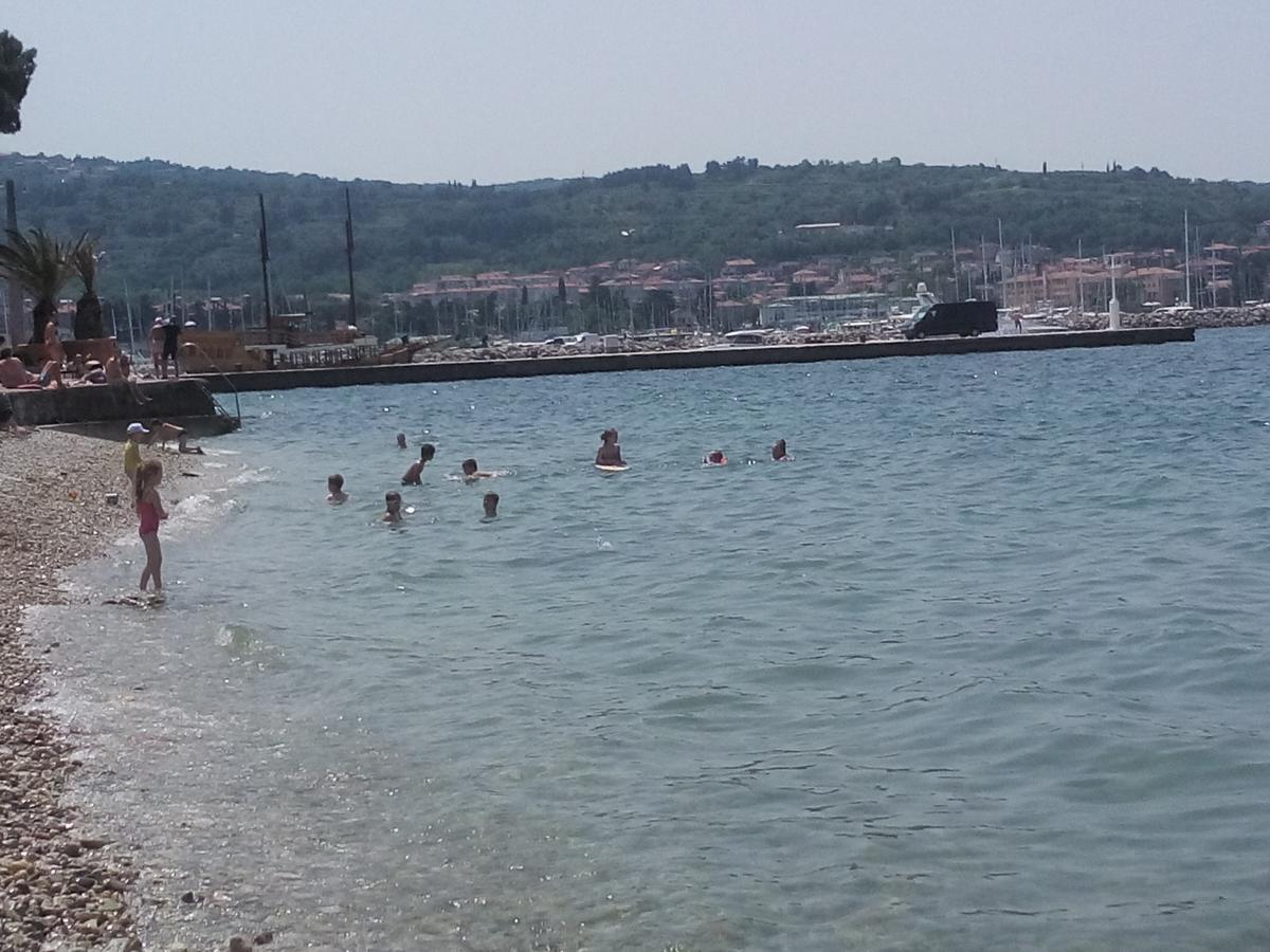 Hostel Xaxid Črni Kal Buitenkant foto